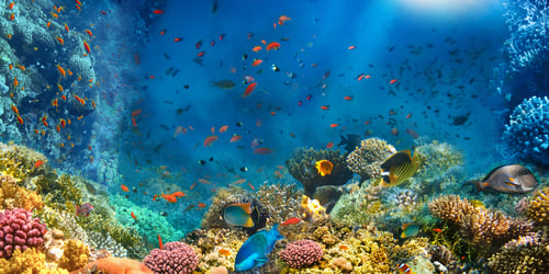 Ecosystem Engineering: Making Your MarTech Stack Work for You, Not Against You