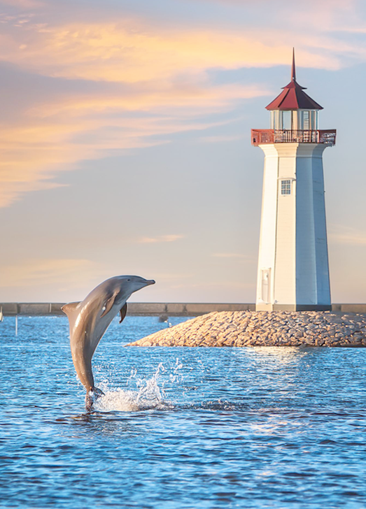 Verti DOLPHIN LIGHTHOUSE