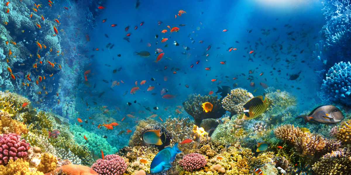 Ecosystem Engineering: Making Your MarTech Stack Work for You, Not Against You